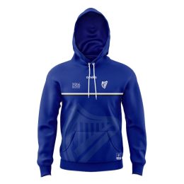 Irish Harp 1916 Commemoration Hoodie