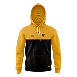 Easter Rising of 1916 Irish harp emblem Hoodie
