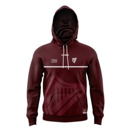 Insignia And Irish 1916 Commemoration Hoodie