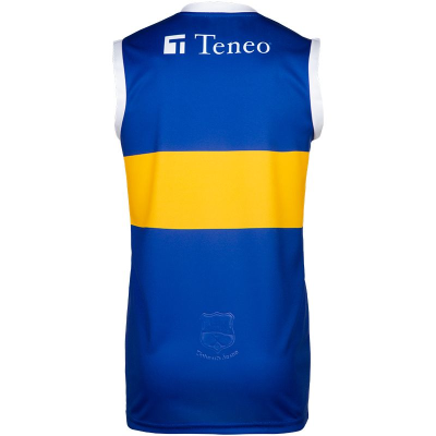 Alternative view of Tipperary Vest 2019 Home Jersey