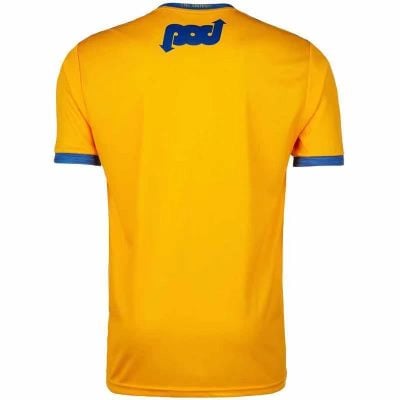 Alternative view of Clare GAA 2020 Jersey