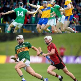 Ireland hurling stick