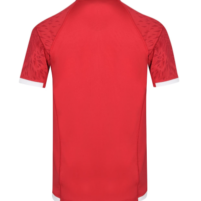 Alternative view of British and Irish Lions 2021 Jersey
