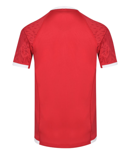 British and Irish Lions 2021 Jersey - Image 2