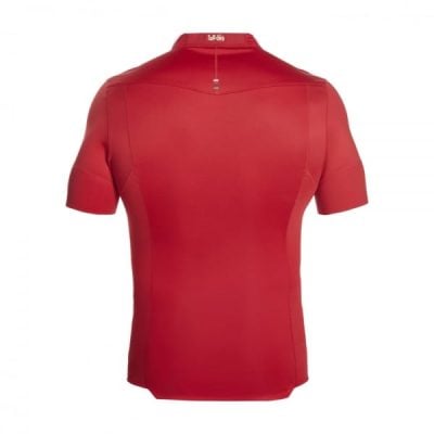 Alternative view of Irish And British Lions 2021 Test Jersey