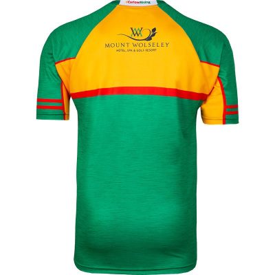 Alternative view of Carlow GAA Jersey