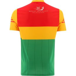 Carlow 2022 Home Jersey