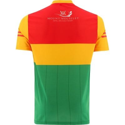Alternative view of Carlow 2022 Home Jersey