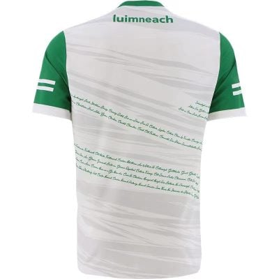 Alternative view of Limerick 2022 GAA Jersey