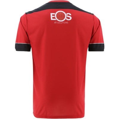 Alternative view of Down GAA 2022 Home Jersey