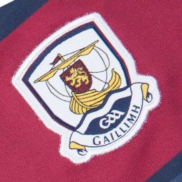 Irish Gifts - GAA, Ireland Football Jerseys, Ireland Rugby Jerseys