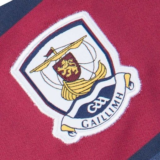 Galway GAA 2018 Away Jersey - Image 2