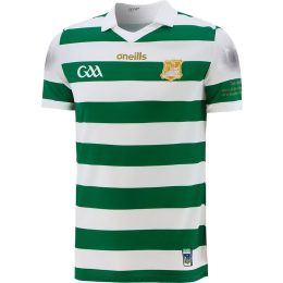 Limerick Kids Commemoration Jersey 2001