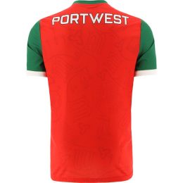Mayo GAA 2023 Alternative Jersey