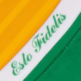Offaly GAA 2020 Home Jersey