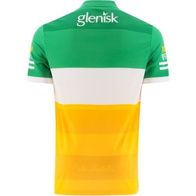 Alternative view of Offaly 2022 GAA Jersey