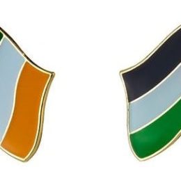Palestine & Ireland Lapel Flag Pin - 10pcs
