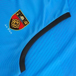 Down 2023 Training Sleeveless Jersey