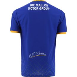 Wicklow GAA 2021 Home Jersey