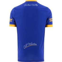 Wicklow GAA 2022 Home Jersey