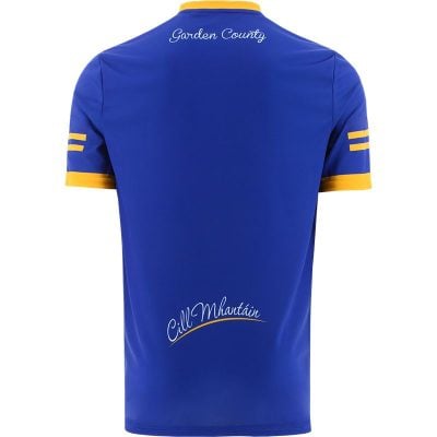 Alternative view of Wicklow GAA 2022 Home Jersey