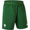 Celtic 2018-2019 Away Shorts