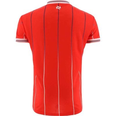 Alternative view of Dublin Shelbourne F.C Home Jersey 2024