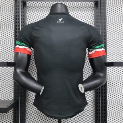 Alternative view of Palestinian National Football Team 2021/22 Jersey
