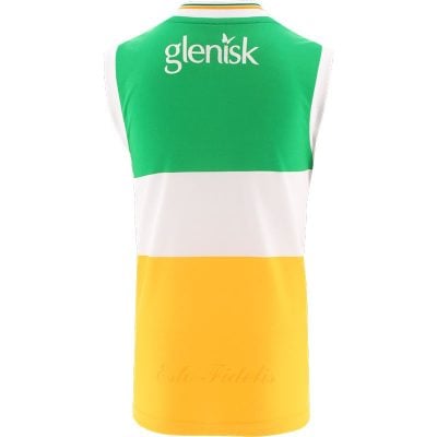 Alternative view of Offaly Stripe Home 2024 Sleeveless Jersey