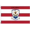 Galway Flag