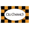 Kilkenny Flag
