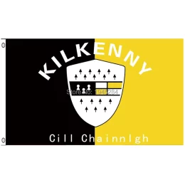 Kilkenny County Flag