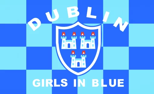 Dublin Flag - Image 3