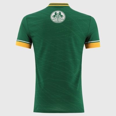 Alternative view of Meath GAA 2025 Home Jersey