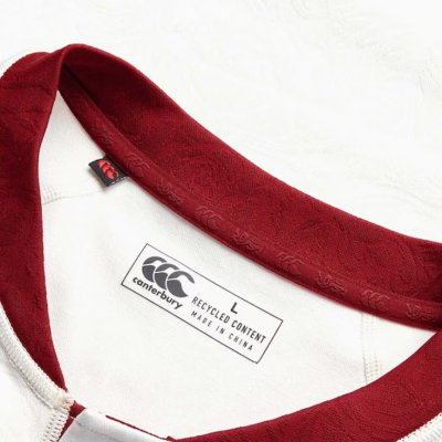 British & Irish Lions