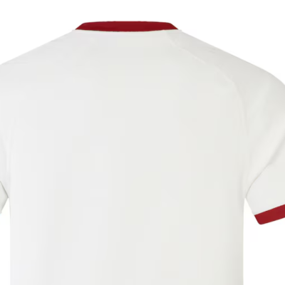 British & Irish Lions 2025 Alternate Jersey British & Irish Lions