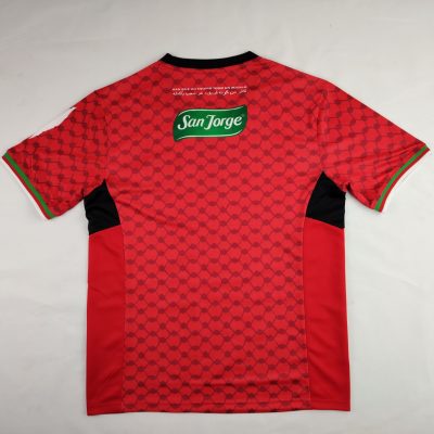 Alternative view of Palestinian 2024-25 Special Edition Jersey