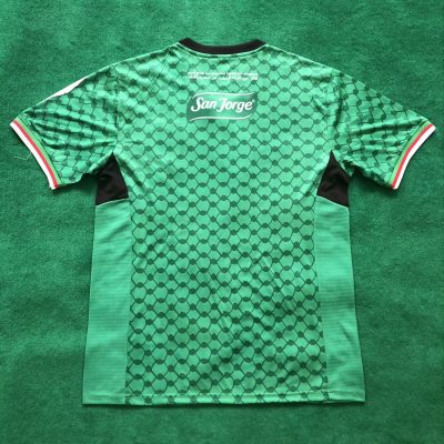 Alternative view of Palestine 2024-25 Flower Green Jersey