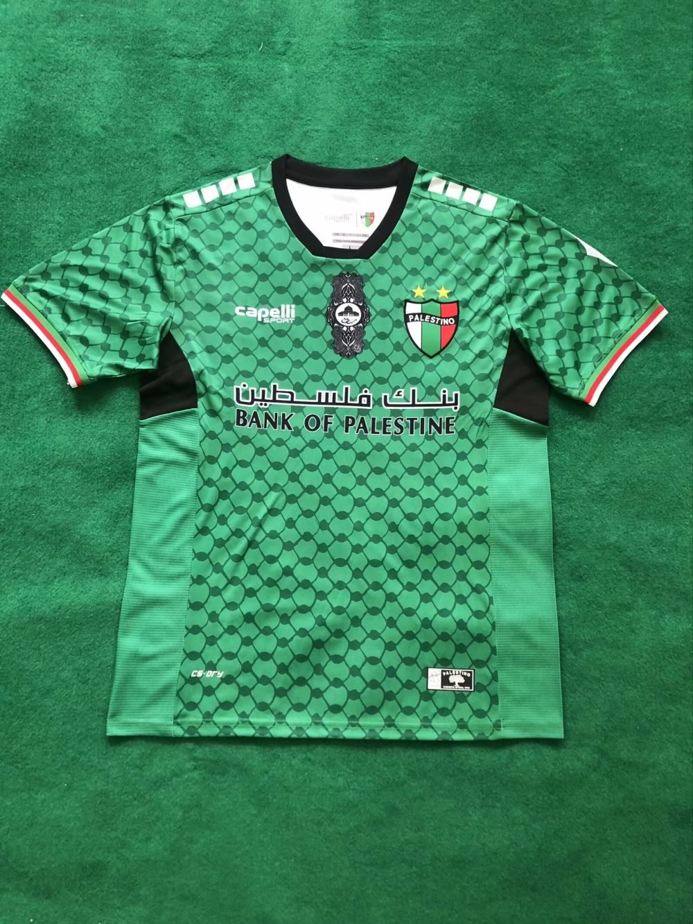 Palestine 2024-25 Flower Green Jersey
