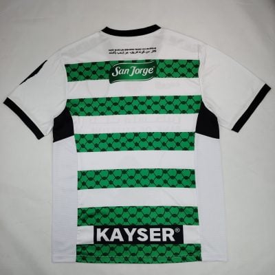Alternative view of Palestine 2024/25 White And Green Special Jersey