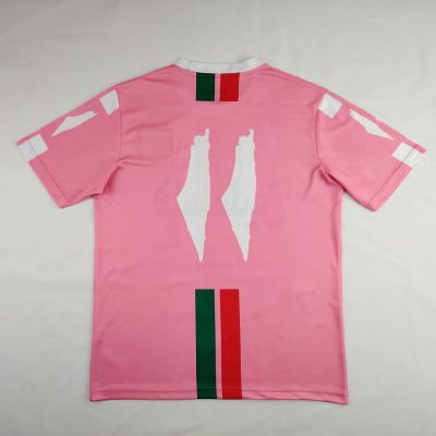 Alternative view of Palestine 2024-25 Pink Jersey