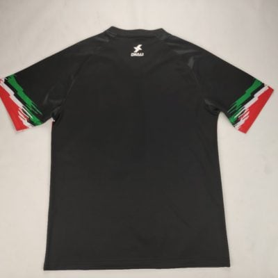Alternative view of Palestinian 2024/25 Black Jersey