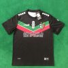 Palestine 2024/25 Black Jersey