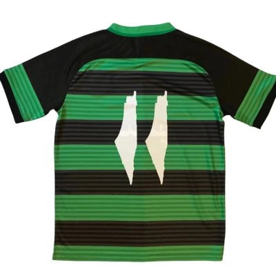Alternative view of Palestine 2024/25 Black Green Ring Jersey