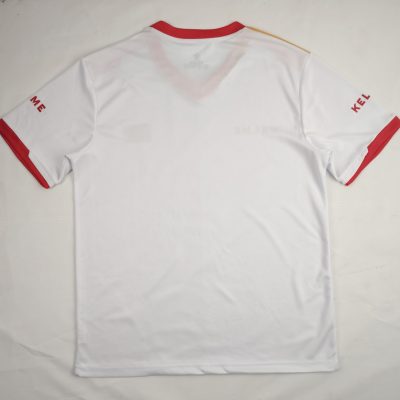 Alternative view of Palestinian 2024-25 National Away Jersey