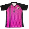 Palestinian 2024/25 Back Pink Purple Jersey