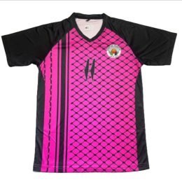 Palestinian 2024/25 Back Pink Purple Jersey