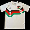 Palestine 2024/25 Retro Stripe Jersey