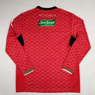 Alternative view of Palestine 2024-25 Green Floral Long Sleeves Jersey