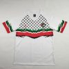 Palestinian 2024/25 White Jersey